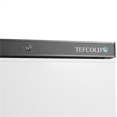 TEFCOLD UF 400 Mrazicí skříň plné dveře