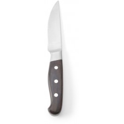Steakový nůž Jumbo - sada 6 kusů, Profi Line, 6 ks., (L)255mm